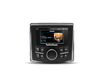 Compact Digital Media Receiver w/ 2.7" Display